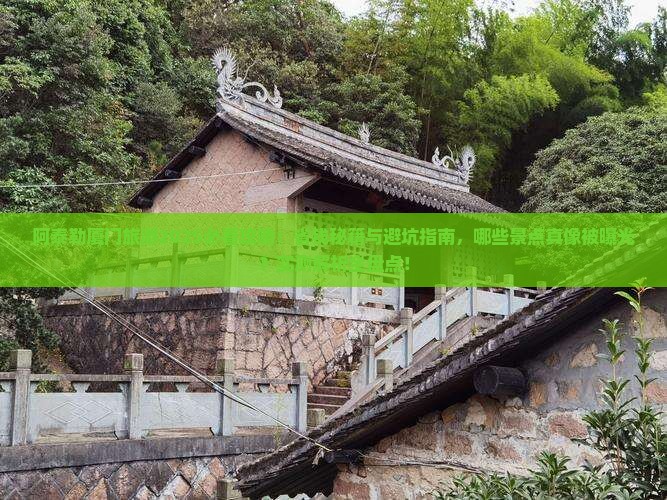 阿泰勒到厦门旅游