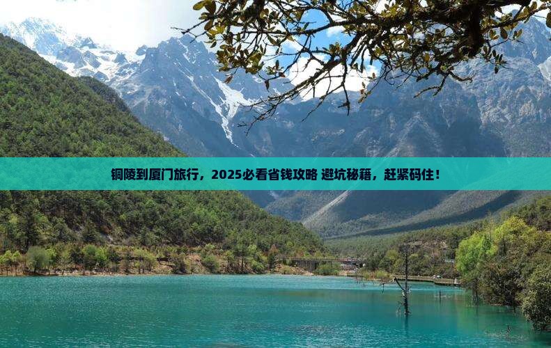 铜陵到厦门旅行社