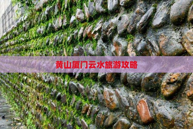 黄山去厦门云水谣旅行社