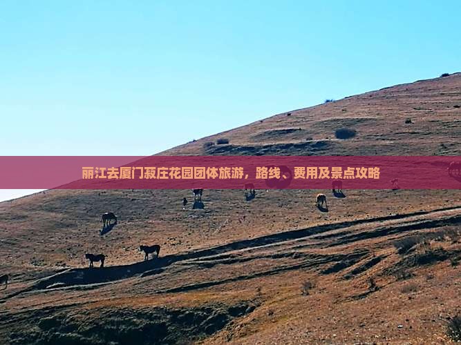丽江去厦门菽庄花园团体旅游