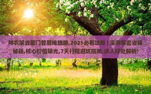 神农架去厦门曾厝埯旅游