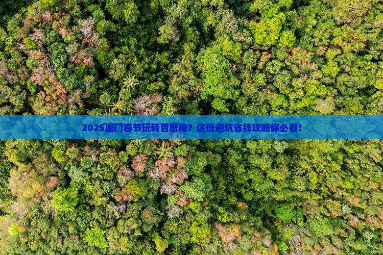 春节去厦门曾厝埯必去地
