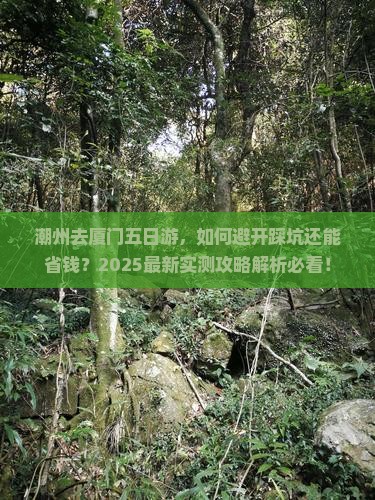 潮州去厦门五日游