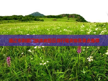 通辽市到厦门鼓浪屿四日游