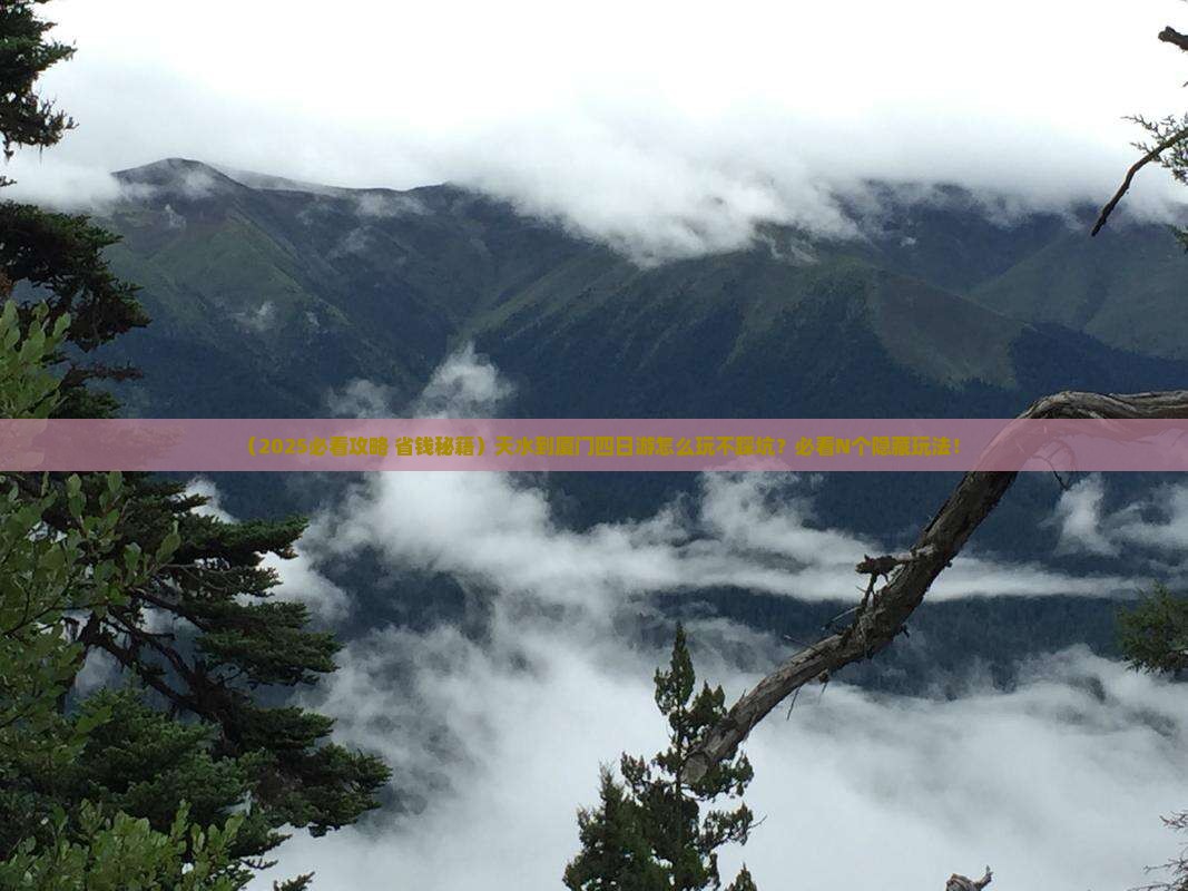 天水到厦门四日游