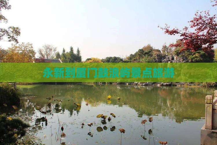 永新到厦门鼓浪屿旅游