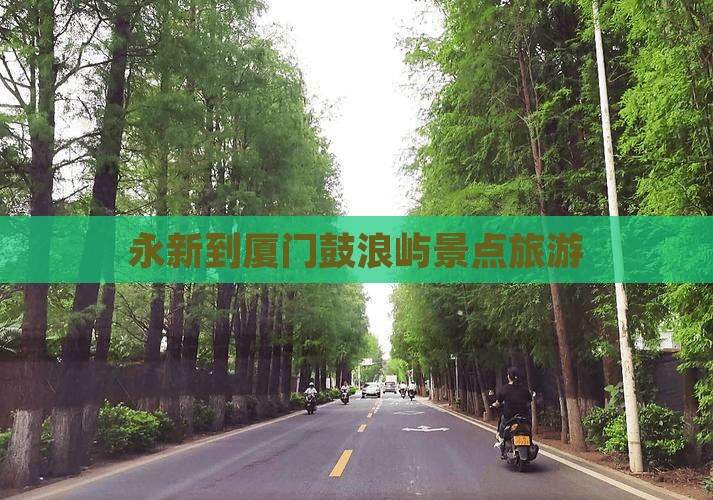永新到厦门鼓浪屿旅游