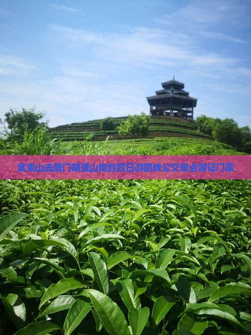 武夷山去厦门胡里山炮台四日游