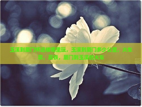玉溪到厦门怀远楼哪里玩