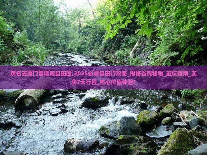 茂名去厦门曾厝埯自由团