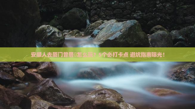 安顺去厦门曾厝埯旅行社