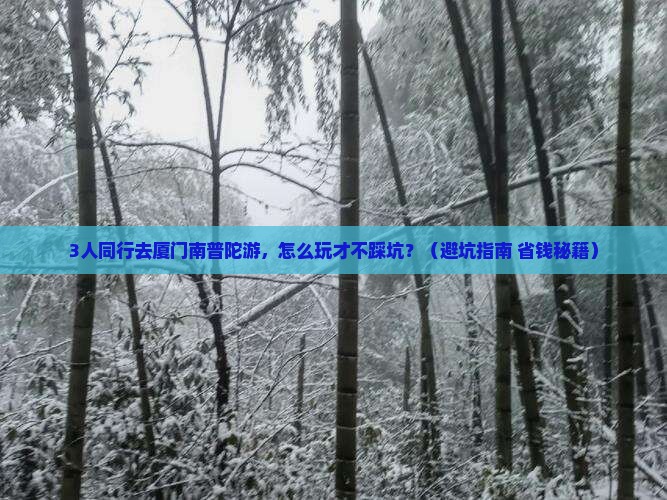 中秋节去厦门南普陀团体旅游