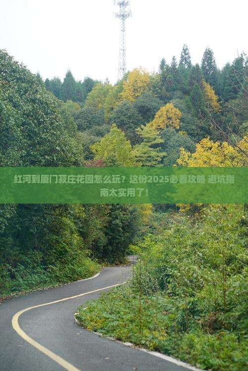 红河到厦门菽庄花园哪里玩