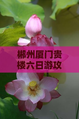郴州去厦门和贵楼六日游