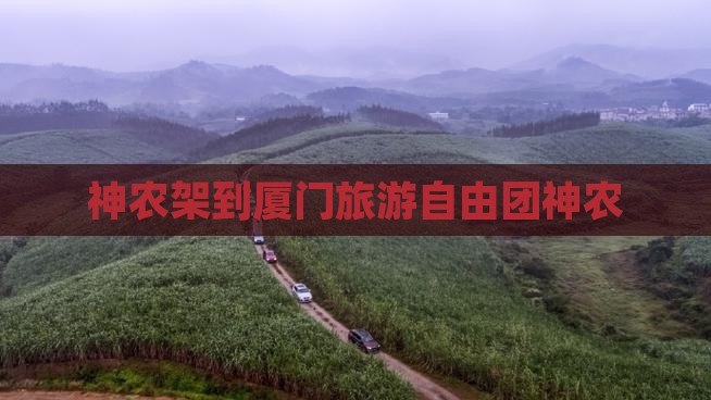 神农架到厦门自由团