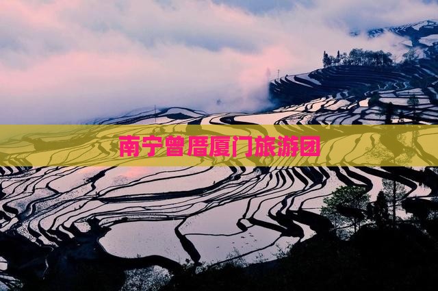 南宁到厦门曾厝埯大型旅游团