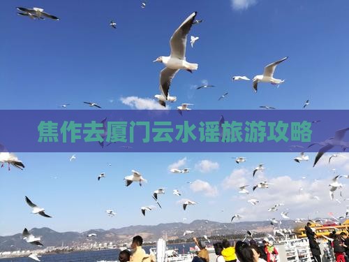 焦作去厦门云水谣攻略