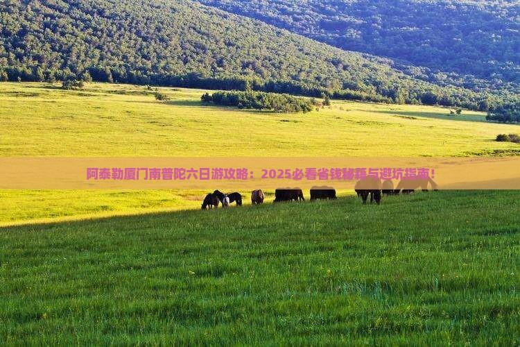 阿泰勒去厦门南普陀六日游