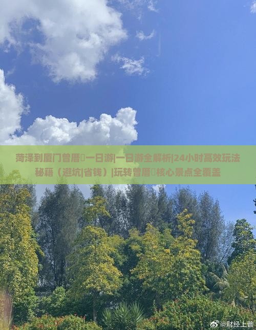 菏泽到厦门曾厝埯一日