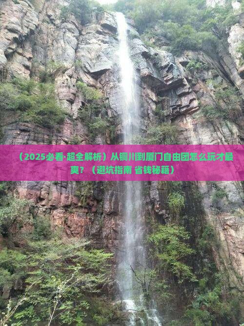 铜川到厦门自由团