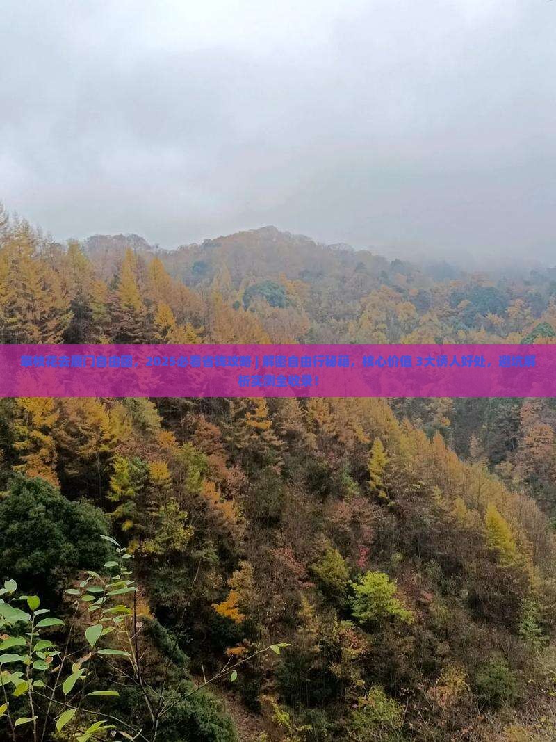 攀枝花去厦门自由团