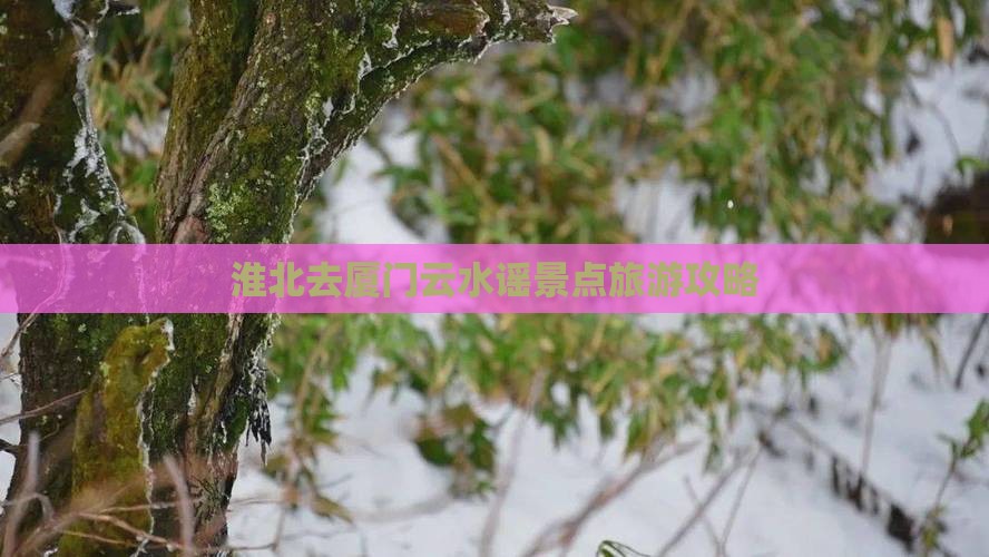 淮北去厦门云水谣景点