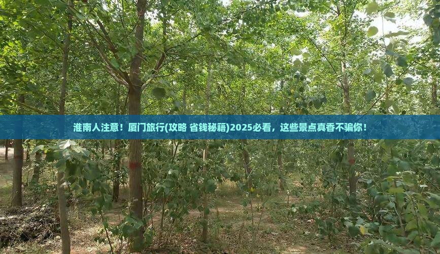 淮南去厦门景点
