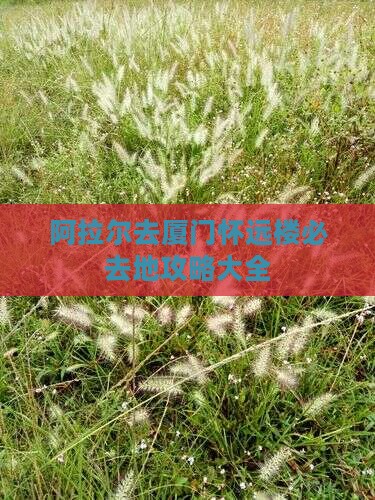 阿拉尔去厦门怀远楼必去地