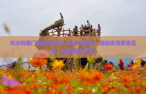 长沙到厦门毓园七日游 长沙到厦门毓园七日游