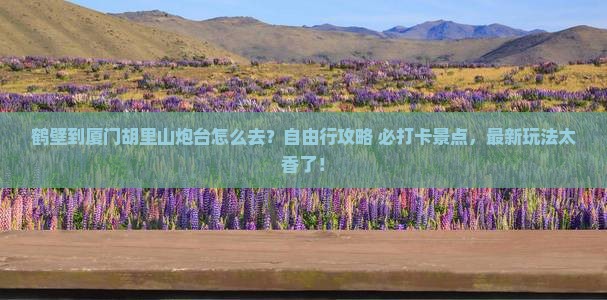 鹤壁到厦门胡里山炮台旅行社