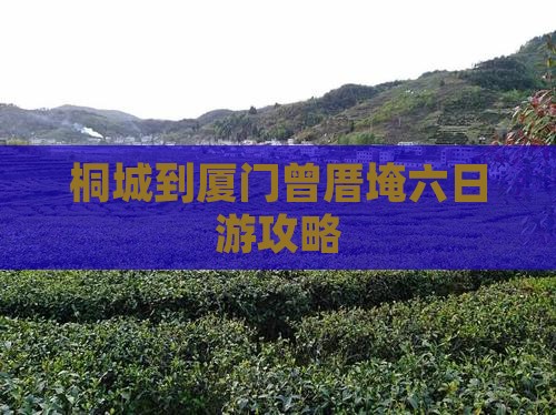 桐城到厦门曾厝埯六日游