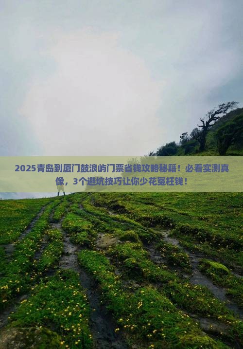 青岛到厦门鼓浪屿门票 青岛到厦门鼓浪屿门票