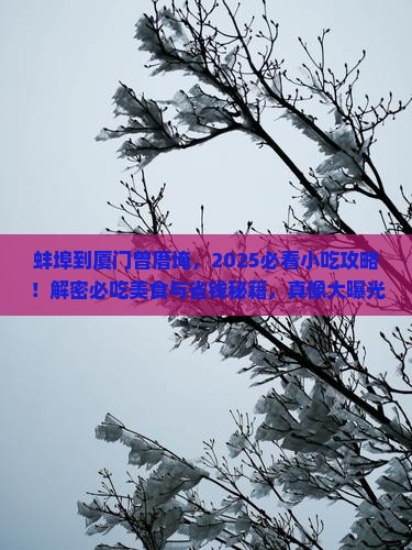蚌埠到厦门曾厝埯旅游小吃