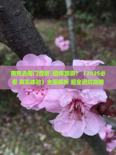 南充去厦门曾厝埯团体旅游