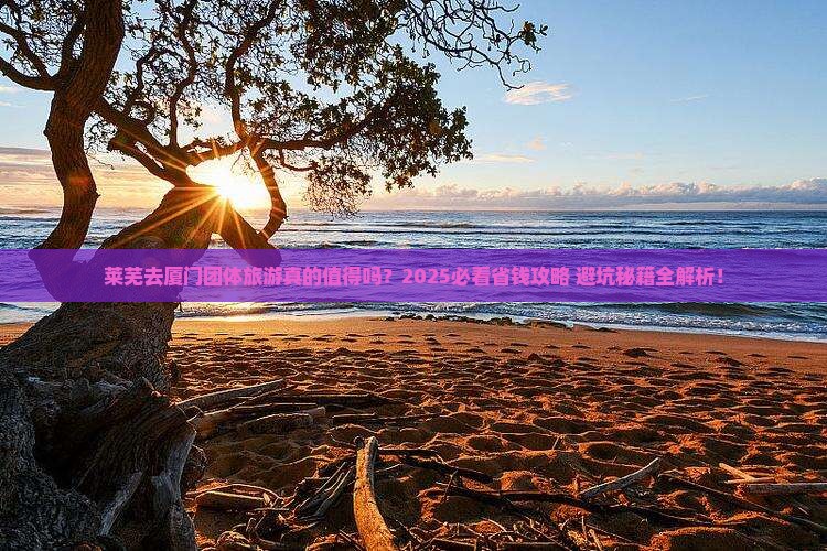 莱芜去厦门团体旅游