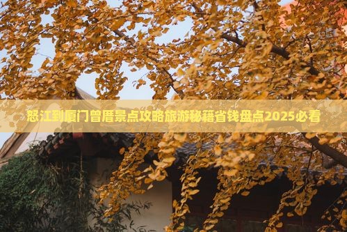 怒江到厦门曾厝埯哪里玩