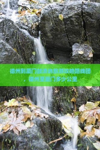 德州到厦门鼓浪屿旅游
