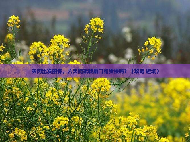 黄冈到厦门和贵楼六日游