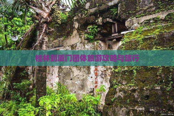 桂林到厦门团体旅游