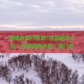 淄博去厦门曾厝埯自由团