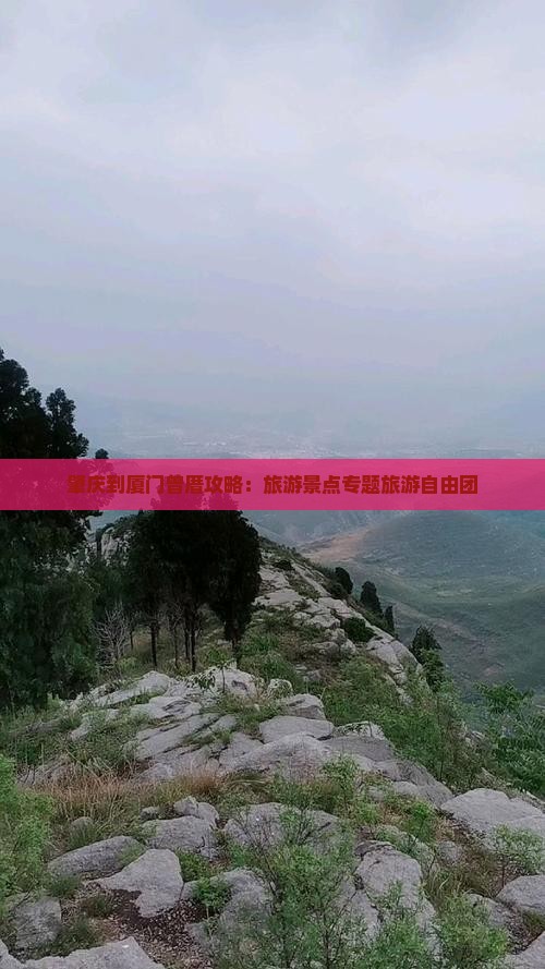 肇庆到厦门曾厝埯自由团