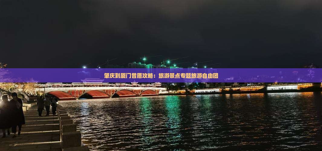 肇庆到厦门曾厝埯自由团