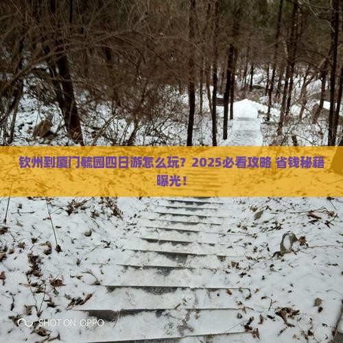 钦州到厦门毓园四日游