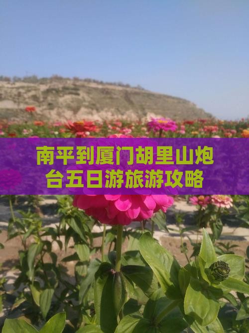 南平到厦门胡里山炮台五日游