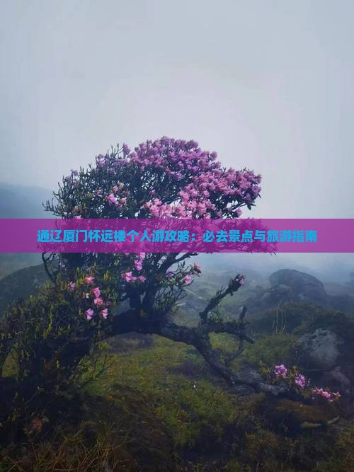 通辽市去厦门怀远楼个人游