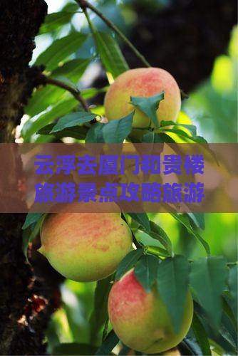 云浮去厦门和贵楼必去地