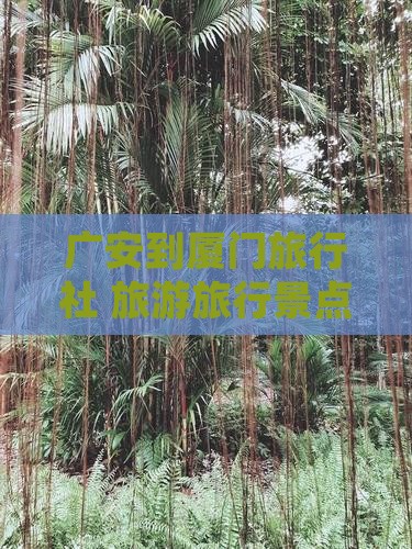 广安到厦门旅行社