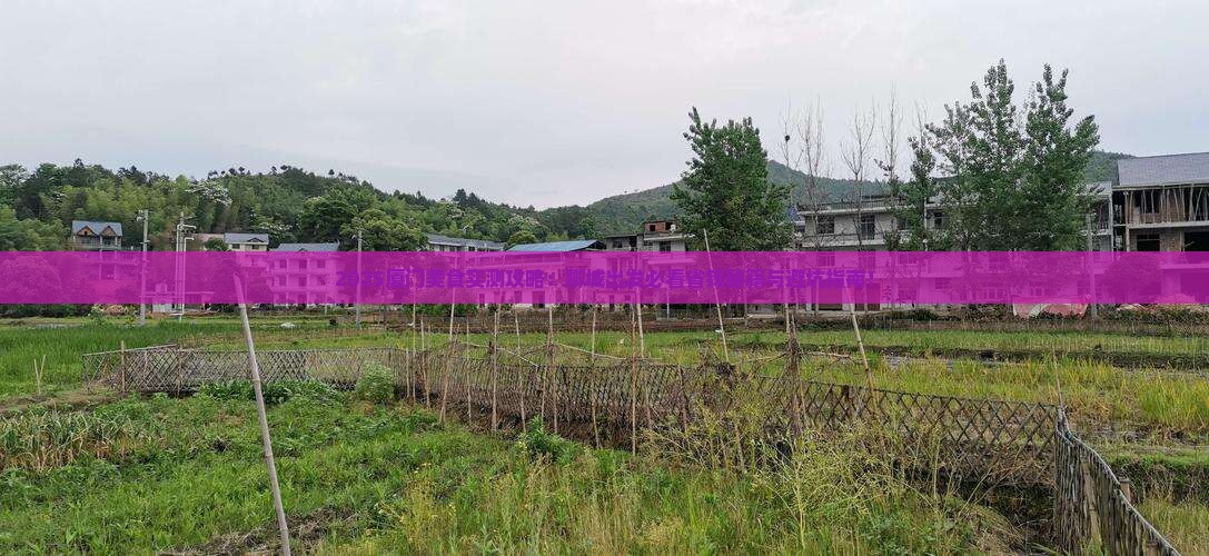 聊城去厦门旅游小吃
