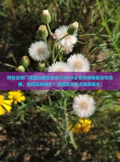 邢台去厦门胡里山炮台自由行