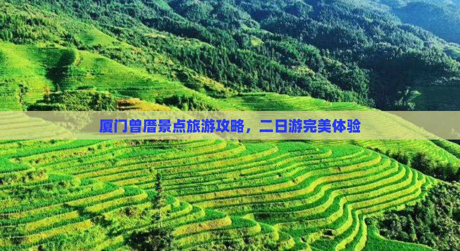 元旦到厦门曾厝埯二日游